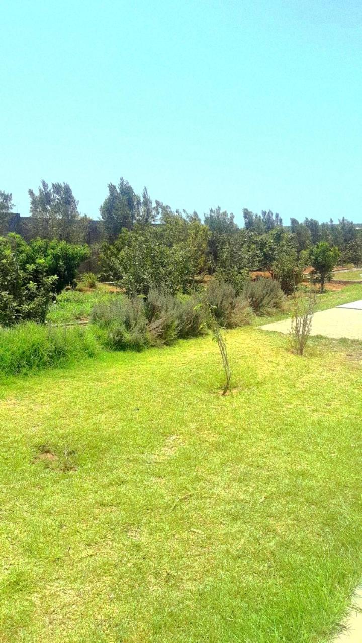 Ferme Prive Avec Piscine Villa Safi Exterior photo